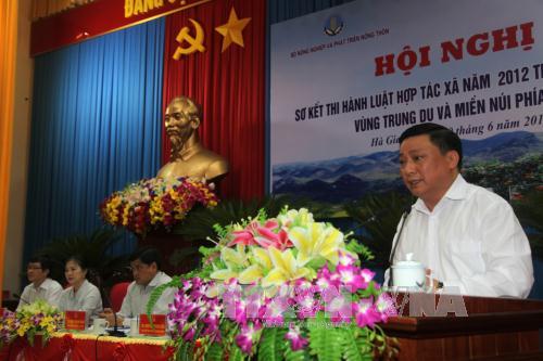 Mỗi tỉnh cần lựa chọn để nghiên cứu xây dựng mô hình hợp tác xã kiểu mới ảnh 1
